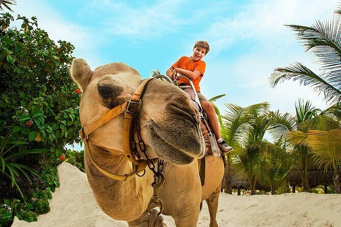 Camel Expedition and Beach Club In Riviera Maya - Maroma Beach: When the Tour Becomes a Beach Break (and How Long It Really Is)