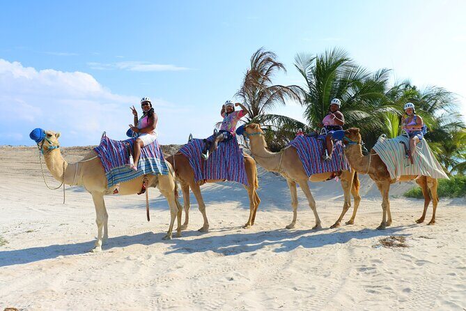 Camel Expedition and Beach Club In Riviera Maya - Transport: The Included Shuttles Are Convenient, But Not Always Smooth