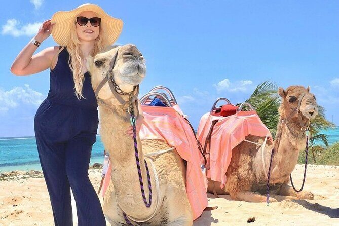 Camel Expedition and Beach Club In Riviera Maya - The Camel Ride Itself: 45 Minutes of Learning, Then Moving