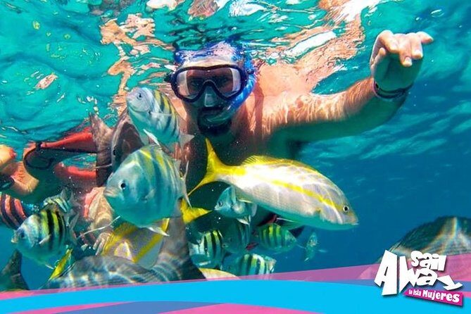 Cancun Adults Only Party Cruise to Isla Mujeres with Open Bar - Meeting at Playa Langosta: The Logistics That Make or Break Your Day