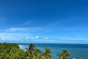 Cancun Airport Shared Shuttle to Holbox Chiquila Port - The Two-Hour Drive to Chiquila Port: What the Ride Feels Like