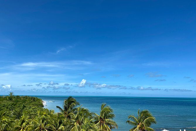 Cancun Airport Shared Shuttle to Holbox Chiquila Port - The Two-Hour Drive to Chiquila Port: What the Ride Feels Like