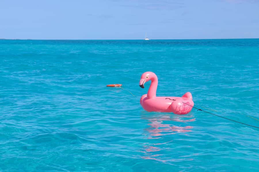 Cancun: Isla Mujeres Full Day Dancer Cruise - Party Mode on the Return: DJ Music, Dancing, and Drinks