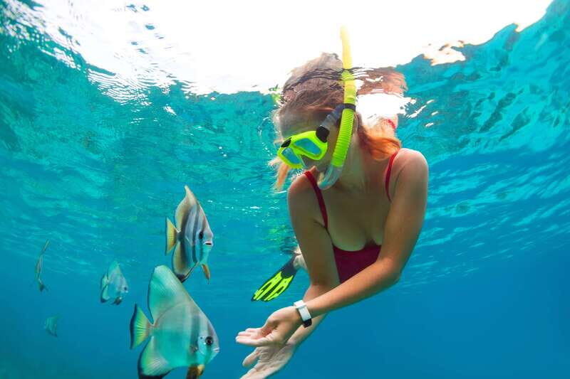 Cancun: Jungle Tour Adventure with Speedboat and Snorkeling - Why a speedboat-and-snorkel combo beats a plain beach day