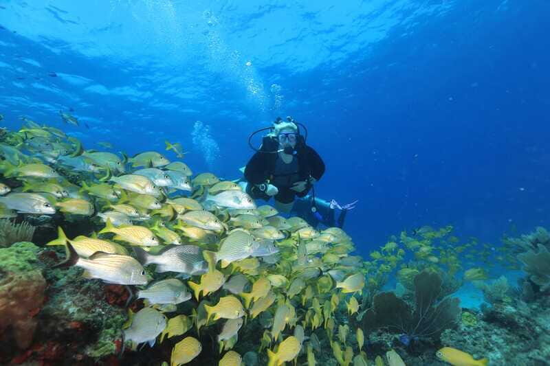 Cancun: Scuba Diving for Beginners, 2 Dives - Price and value: what the 167 USD covers (and what costs extra)