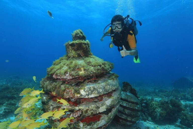 Cancun: Scuba Diving for Beginners, 2 Dives - Pool practice: what you learn before you’re on open water