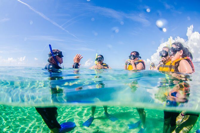 Cancun speedboat and snorkel tour: shared speedboat - What’s included (and what you should plan around)