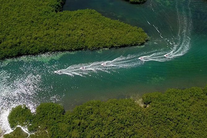 Cancun speedboat and snorkel tour: shared speedboat - Stop-by-stop: what happens in the jungle, then at the reef