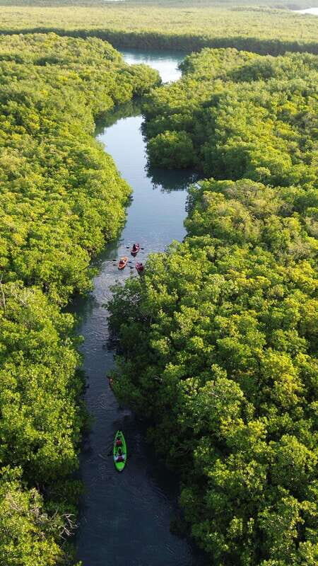 Cancun: Sunset Kayak Experience in the Mangroves - Key Points If You’re Short on Time