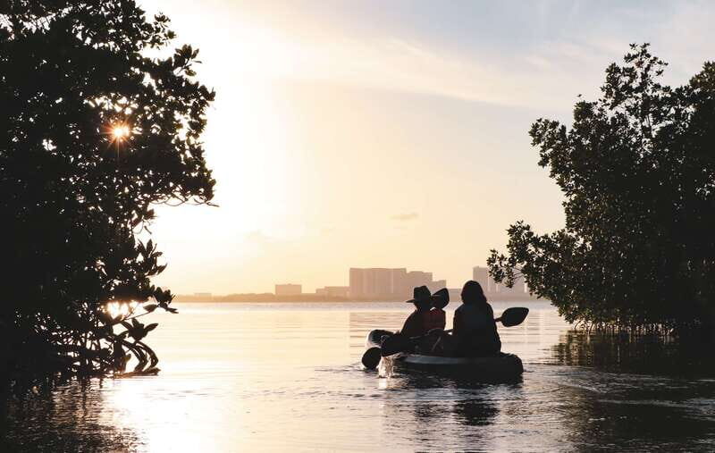 Cancun: Sunset Kayak Experience in the Mangroves - First Guided Paddle Through Mangrove Channels