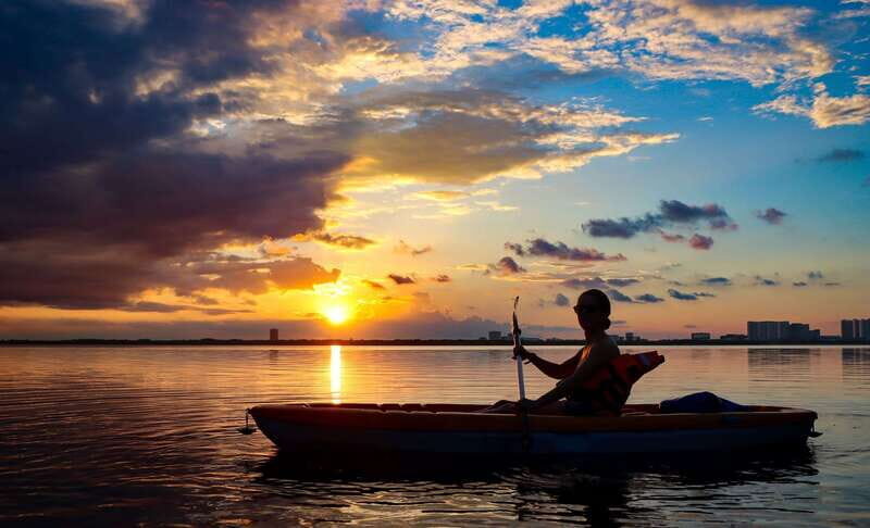 Cancun: Sunset Kayak Experience in the Mangroves - Second Guided Stretch: Wildlife Chances—and How to Spot It Better