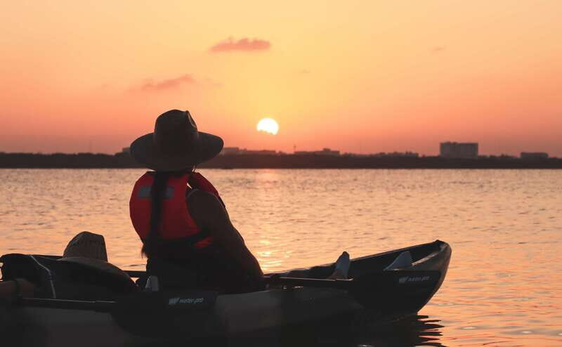 Cancun: Sunset Kayak Experience in the Mangroves - What You Might See in the Nichupté Lagoon