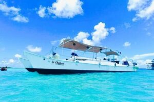 Catamaran Snorkel Adventure to El Cielo and The Money Bar Beach - Palancar Reef Snorkeling: Sea Turtles and Close-to-You Fish