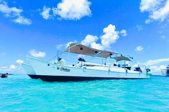 Catamaran Snorkel Adventure to El Cielo and The Money Bar Beach - Palancar Reef Snorkeling: Sea Turtles and Close-to-You Fish