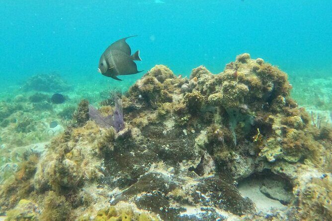 Catamaran with Snorkeling and North Beach, Isla Mujeres - The open bar works best if you know the timing