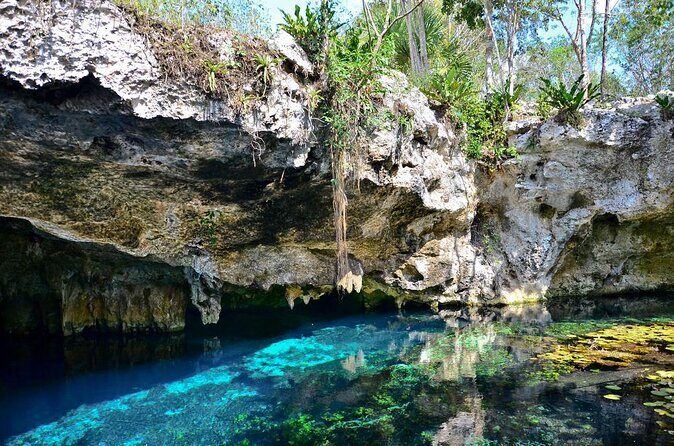 Cenote Triple Adventure Tour in Tulum - Cenote Triple Adventure: the 4-hour flow that makes it worth it