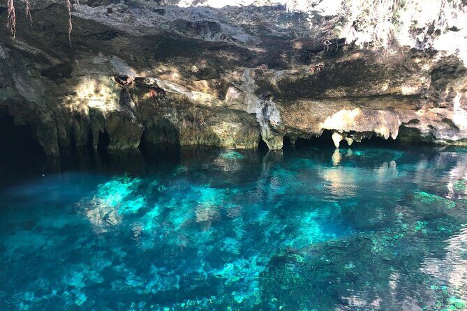 Cenote Triple Adventure Tour in Tulum - Key things I’d circle before you go