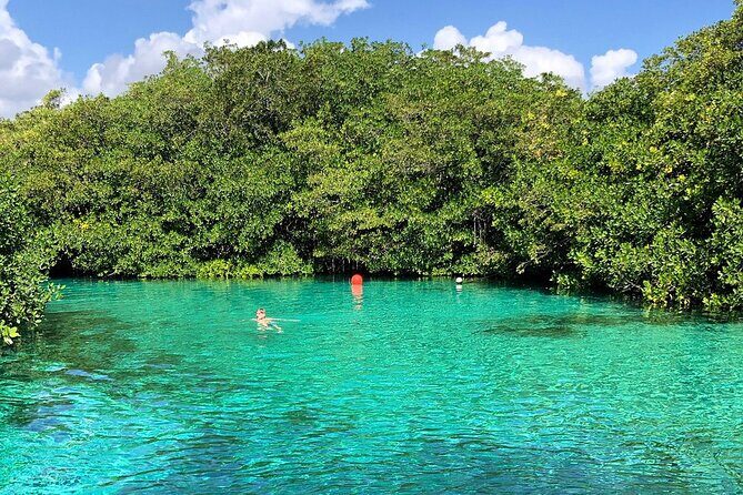 Cenote Triple Adventure Tour in Tulum - Price and value: is $129.88 a good deal?