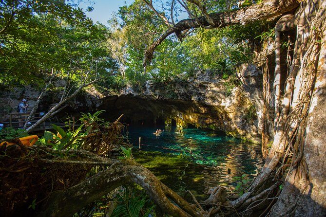 Cenotes trail jungle bike tour in Tulum with lunch - Cycling From Tulum Streets Into Quiet Jungle Paths