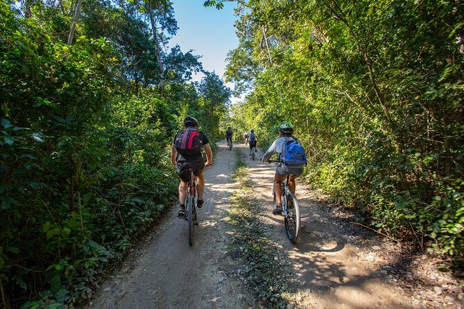 Cenotes trail jungle bike tour in Tulum with lunch - Price and What You Really Get for $119