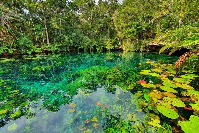 Cenotes trail jungle bike tour in Tulum with lunch - Weather, Rain, and Cenote Closures: Why Timing Can Matter