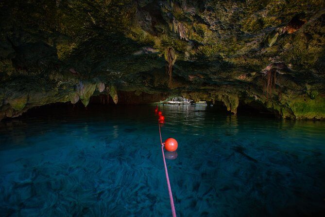 Cenotes trail jungle bike tour in Tulum with lunch - Your First Cenote Stop: Crystal Water, Jumps, and Snorkel Time