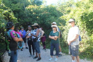 Chacchoben Mayan Ruins from Costa Maya - The 55-Minute Van Ride That Preps You for the Jungle