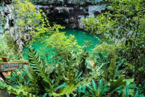 Choose your experience to live in Los 7 Cenotes San Gerónimo - The guided bike ride through plants, animals, and shade