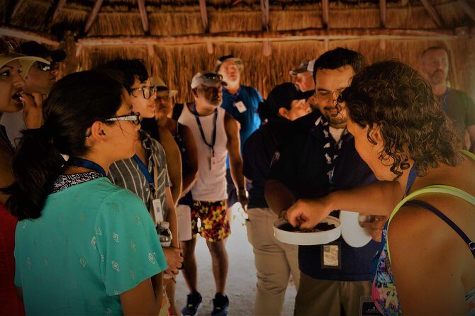Coba and Tulum, cenote swim and buffet lunch - Pickup, vans, and timing reality (this is where your day can wobble)