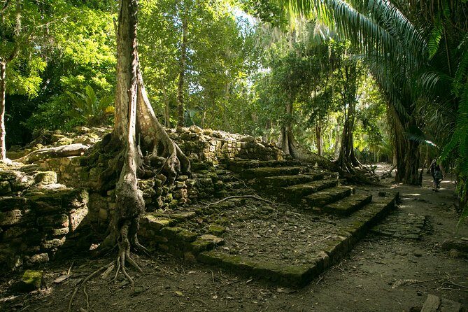 Costa Maya Shore Excursion: Chacchoben Day Trip - Key Things That Make This Chacchoben Day Trip Worth Your Time