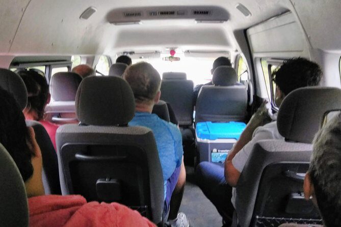 Costa Maya Shore Excursion: Chacchoben Day Trip - Jungle Encounters Beyond the Ruins: Wildlife, Plants, and the Noise of Nature