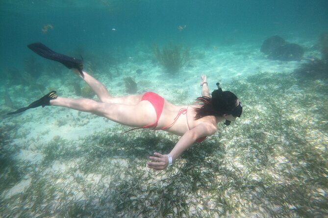 Costa Maya, snorkeling on the reef with fish, looking for turtles - Why Mahahual Reef Snorkeling Feels Different Here
