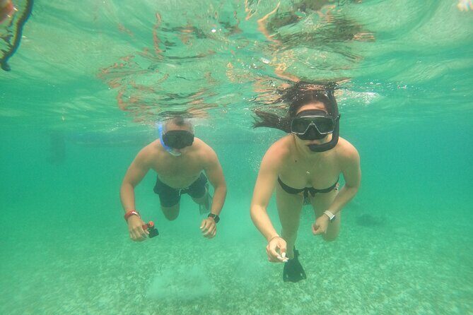 Costa Maya, snorkeling on the reef with fish, looking for turtles - Safety and Photo Sharing: What You’ll Notice Most Underwater