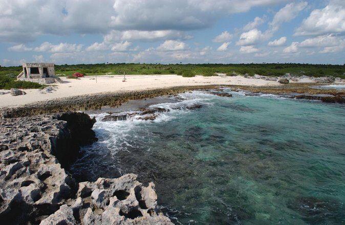Cozumel Adventure Private Jeep or Buggy Excursion + Lunch&Snorkel - Quick take: what matters most