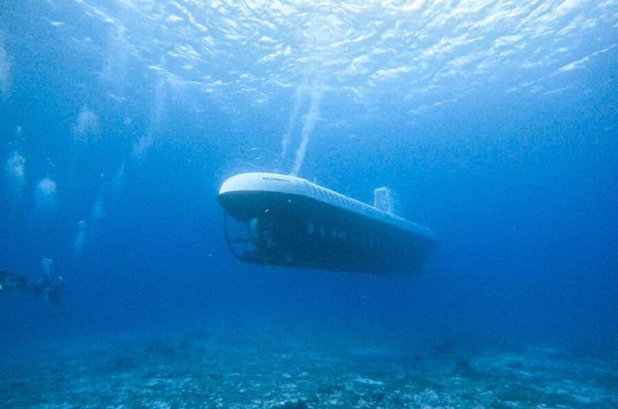 Cozumel: Atlantis Submarine Adventure - Timing and pacing: how the 2 hours usually unfold