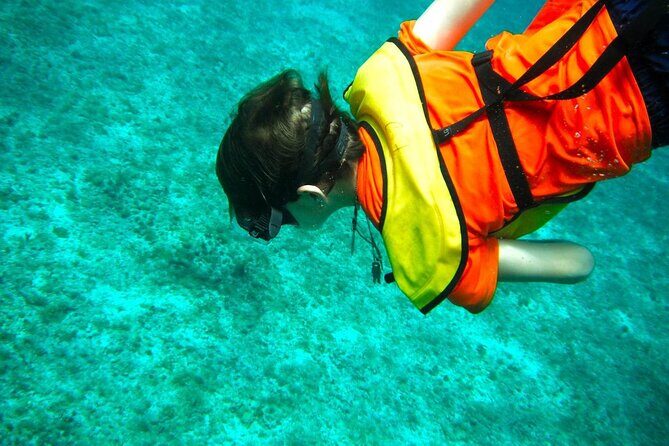 Cozumel Buggy Tour: Snorkeling , Otoch Mayan Experience & Lunch - How to Make This Day Smoother (Real-World Tips)