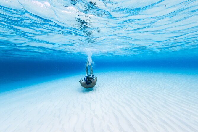 Cozumel Catamaran Snorkeling Tour & lunch® - A 6-hour plan that hits Cozumel’s top-water stops
