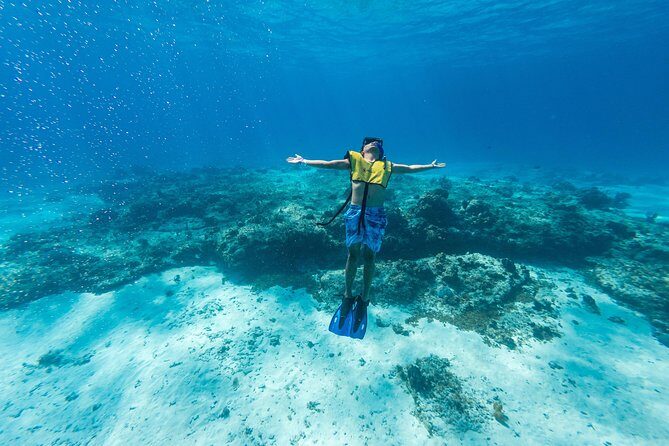 Cozumel Catamaran Snorkeling Tour & lunch® - Snorkeling gear and safety rules you should take seriously