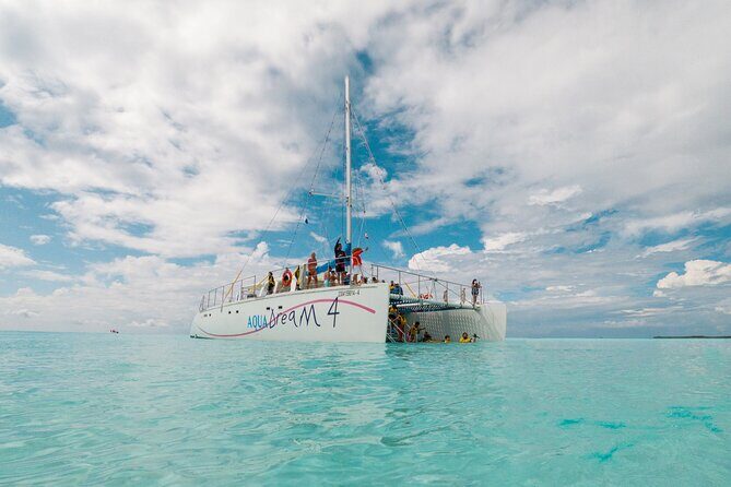 Cozumel Catamaran Snorkeling Tour & lunch® - Reef stop 1: Colombia or Palancar Reefs (the “why we came” moment)