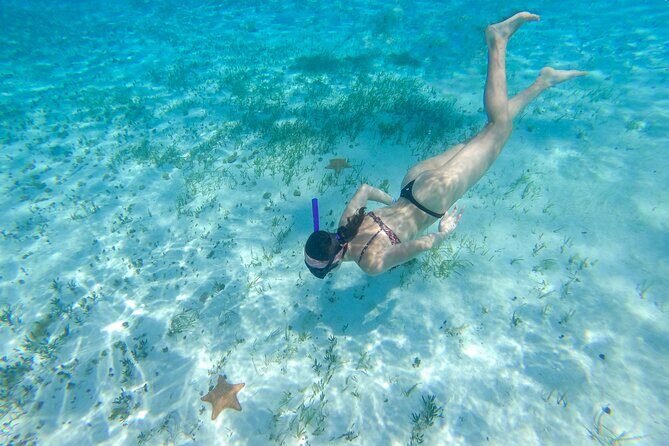 Cozumel Catamaran Snorkeling Tour & lunch® - El Cielo starfish sanctuary: the iconic shallow highlight