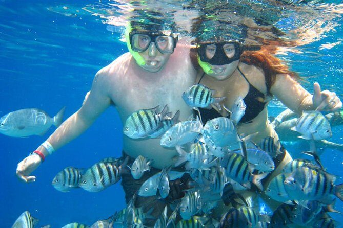 Cozumel Coral Reef Snorkeling by Glass Bottom Boat with Guide - Price and Extra Costs: The Real Budget Math