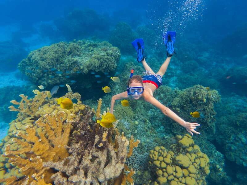 Cozumel: El Cielo, Palancar Reef, and Beach Party with Food - Key Points at a Glance