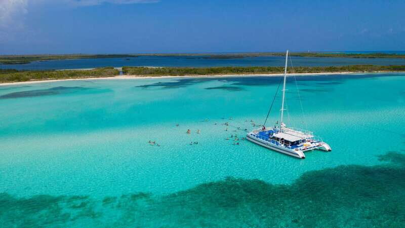 Cozumel: El Cielo, Palancar Reef, and Beach Party with Food - Palancar Reef Snorkeling Stop: Great Wildlife Potential, Real-Life Crowds