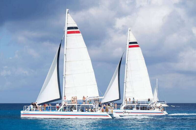 Cozumel: El Cielo, Palancar Reef, and Beach Party with Food - The Fury Catamaran Setup: Comfort, Shade, and Bathrooms