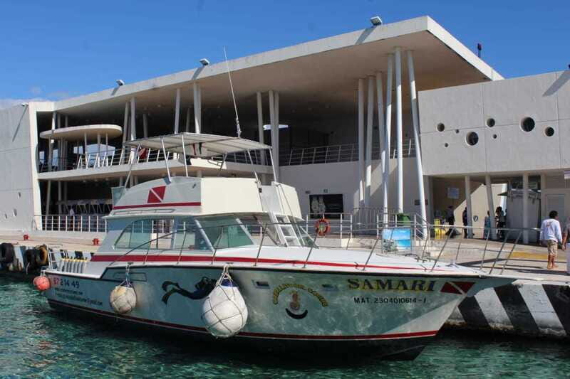 Cozumel: El Cielo & Palancar Snorkel with Open Bar & Ceviche - Key highlights worth planning around