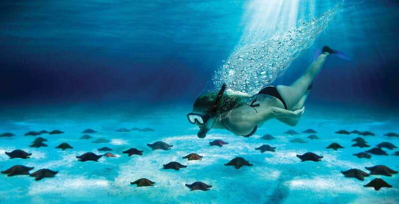 Cozumel: El Cielo & Palancar Snorkel with Open Bar & Ceviche - Getting to the Water: Boat Ride, Small Group, and What Staff Actually Do
