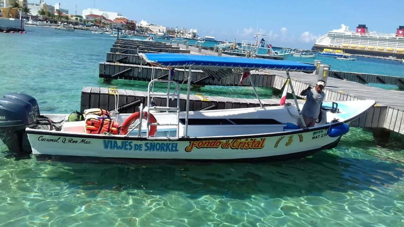 Cozumel: El Cielo & Palancar Snorkel with Open Bar & Ceviche - El Cielo: The Shallow Water Starfish Sanctuary (and Why It Feels Unreal)