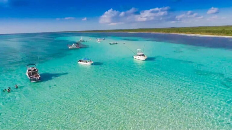 Cozumel: El Cielo & Palancar Snorkel with Open Bar & Ceviche - Palancar Reef: Corals, Rays, Turtles, and the Best Way to Watch