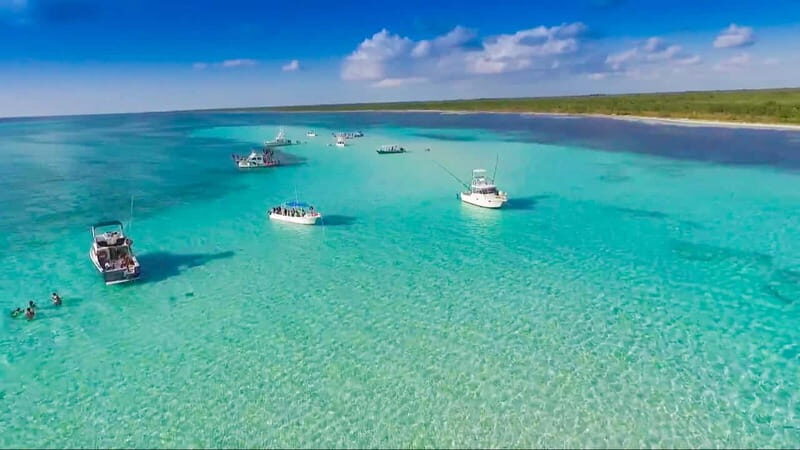 Cozumel: El Cielo & Palancar Snorkel with Open Bar & Ceviche - Palancar Reef: Corals, Rays, Turtles, and the Best Way to Watch