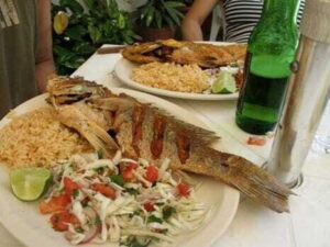 Cozumel Food Tour - The 11:15 MEGA meeting point and how the timing works